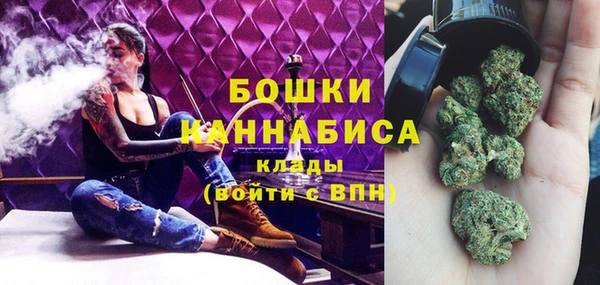 прущий лед Новозыбков
