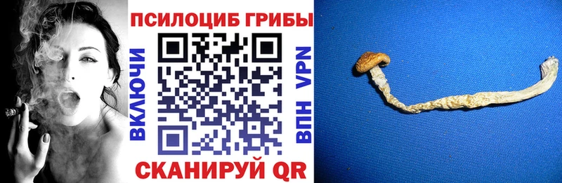 Псилоцибиновые грибы Magic Shrooms  где продают наркотики  Прокопьевск 