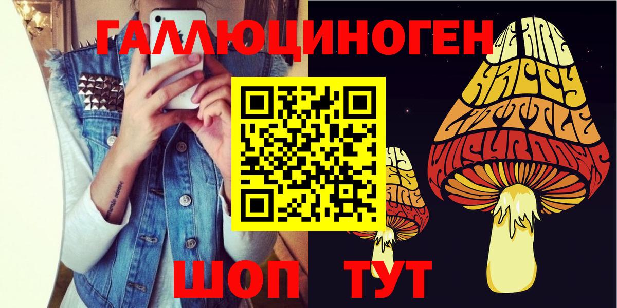 Галлюциногенные грибы Psilocybe Прокопьевск