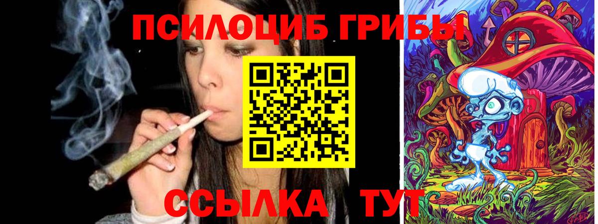 Галлюциногенные грибы MAGIC MUSHROOMS  Вход с VPN  Прокопьевск 