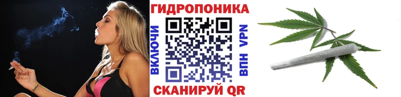 дарк нет состав  кракен как зайти  Прокопьевск  наркота  Марихуана сатива 